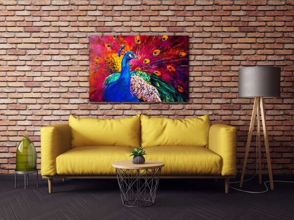 Impresi Obraz Barevný páv - 60 x 40 cm