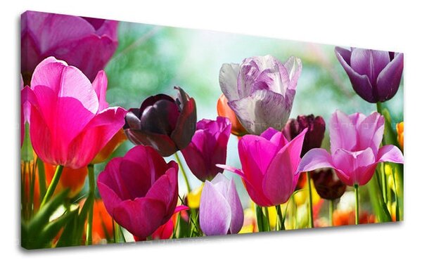 Obraz na stěnu Panorama KVĚTINY - 30x60 cm