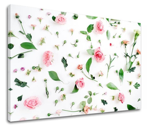 Obraz na stěnu ROSE_155-11 - 20x30 cm