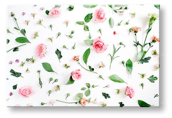 Obraz na stěnu ROSE_155-11 - 20x30 cm