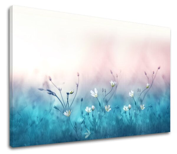 Obraz na stěnu BÍLÉ KVĚTY_156-11 - 20x30 cm