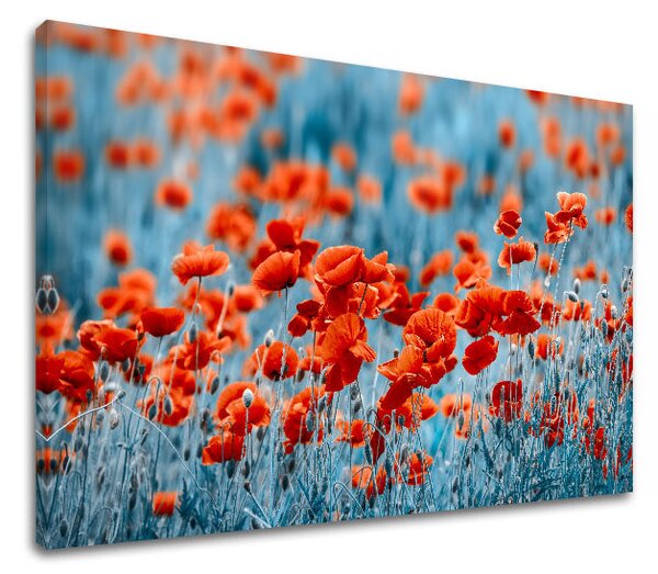 Obraz na stěnu ČERVENÉ KVĚTY_159-11 - 20x30 cm
