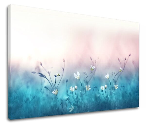 Obraz na stěnu BÍLÉ KVĚTY_156-11 - 20x30 cm