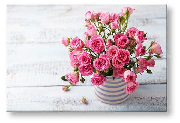 Obraz na stěnu ROSES_158-11 - 20x30 cm