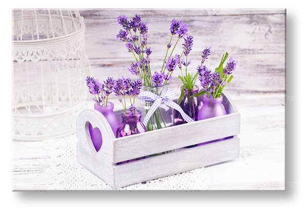 Obraz na stěnu FIAL FLOWERS_164-11 - 20x30 cm
