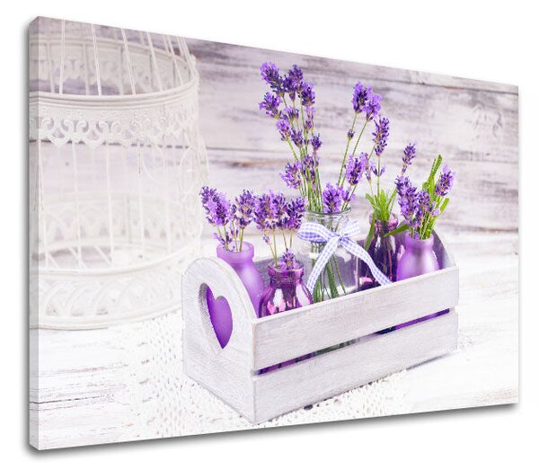 Obraz na stěnu FIAL FLOWERS_164-11 - 20x30 cm