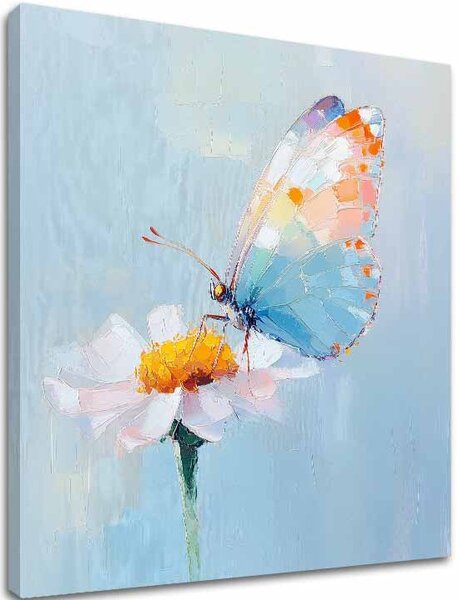 Obraz Butterfly - Pastel day - 60x60 cm