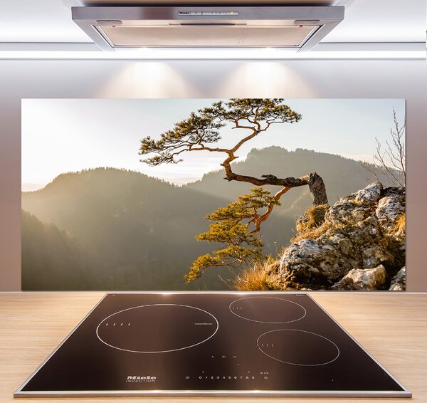 Panel do kuchyně Sokolice Pieniny pksh-59943899