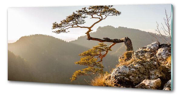 Panel do kuchyně Sokolice Pieniny pksh-59943899