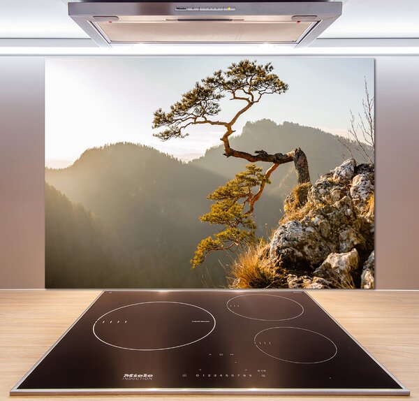 Panel do kuchyně Sokolice Pieniny pksh-59943899