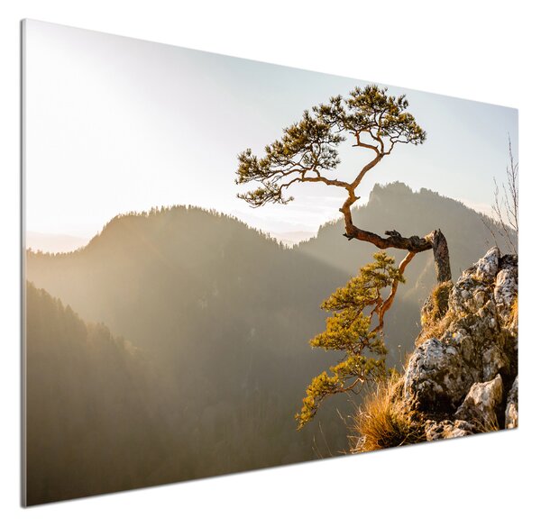 Panel do kuchyně Sokolice Pieniny pksh-59943899