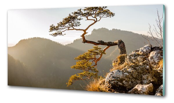 Panel do kuchyně Sokolice Pieniny pksh-59943899