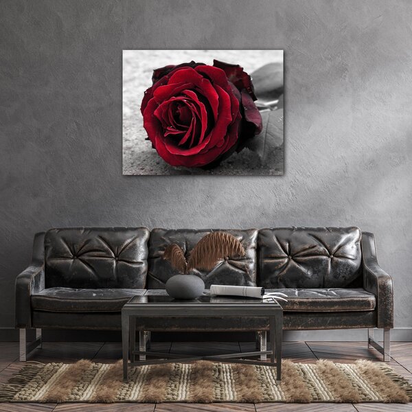 Impresi Obraz Růže na černobílém pozadí - 90 x 70 cm