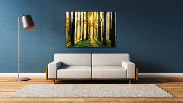 Impresi Obraz Osvícený les - 70 x 50 cm