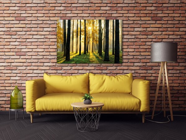 Impresi Obraz Osvícený les - 60 x 40 cm