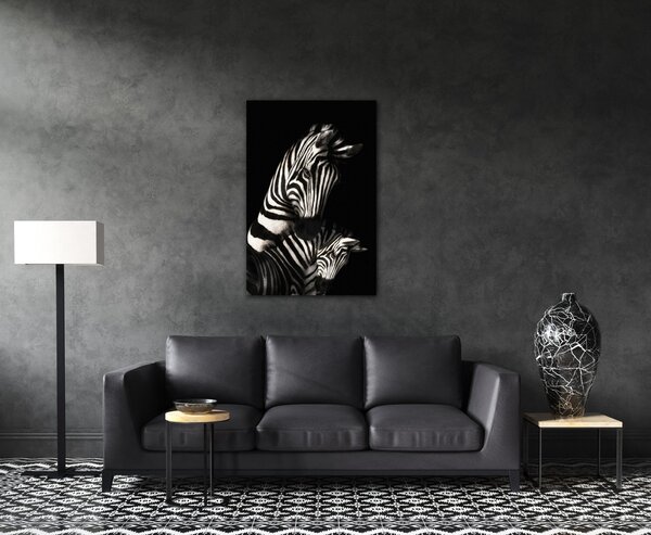 Impresi Obraz Zebry černobílé - 40 x 60 cm