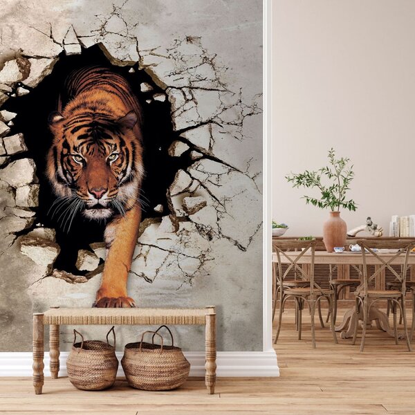 Fototapeta Tygr vylézá z díry ve zdi, 3D fototapety, Populární fototapety, u97031 - Tapeko.co.cz