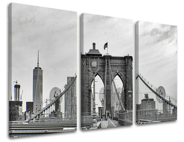 3dílný obraz na stěnu MĚSTO / NEW YORK - 60x40 cm