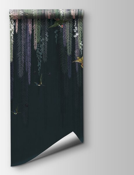 Fototapeta Kolibříci ze stromu, Designové fototapety na zeď, Populární fototapety, u97143 - Tapeko.co.cz