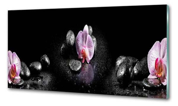 Skleněný panel do kuchynské linky Orchidej pksh-60629892