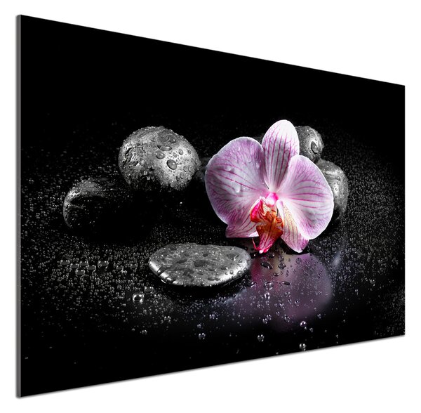 Skleněný panel do kuchynské linky Orchidej pksh-60629892