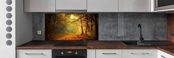 Dekorační panel sklo Podzimní les pksh-60738927
