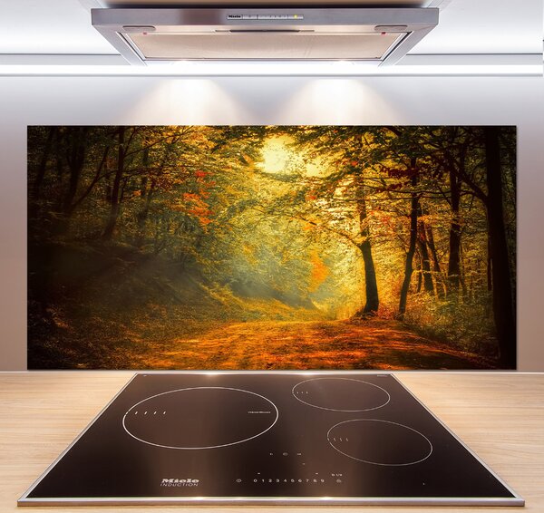 Dekorační panel sklo Podzimní les pksh-60738927