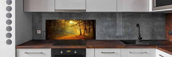 Dekorační panel sklo Podzimní les pksh-60738927
