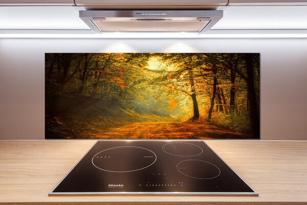 Dekorační panel sklo Podzimní les pksh-60738927
