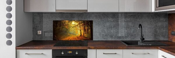 Dekorační panel sklo Podzimní les pksh-60738927