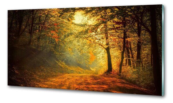 Dekorační panel sklo Podzimní les pksh-60738927