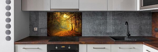 Dekorační panel sklo Podzimní les pksh-60738927