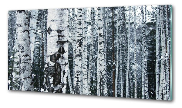 Panel do kuchyně Stromy bříza pksh-60759693