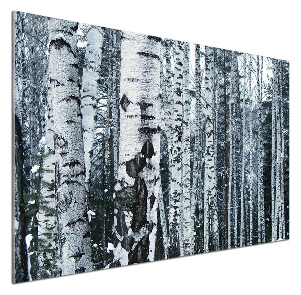 Panel do kuchyně Stromy bříza pksh-60759693