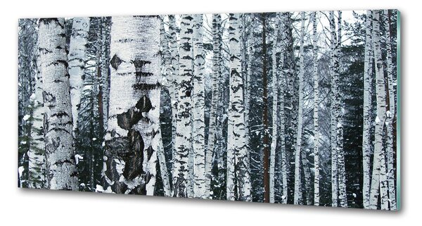 Panel do kuchyně Stromy bříza pksh-60759693
