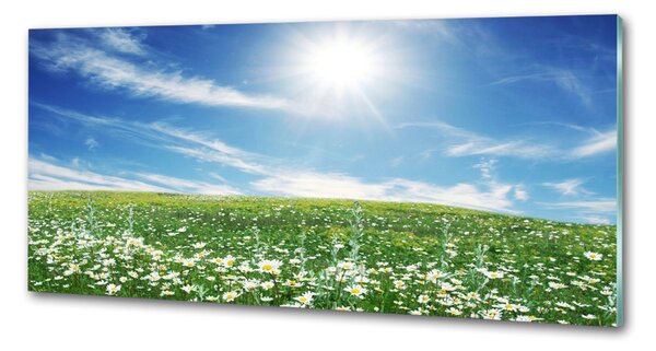 Skleněný panel do kuchyně Louka pksh-6089070