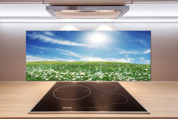 Skleněný panel do kuchyně Louka pksh-6089070