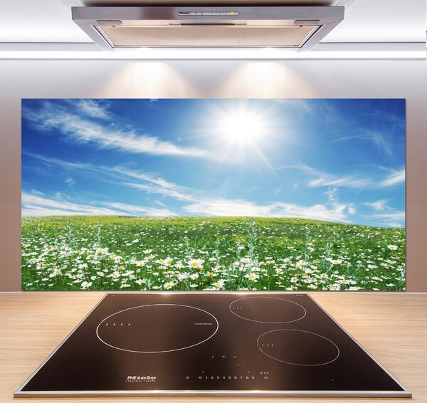 Skleněný panel do kuchyně Louka pksh-6089070
