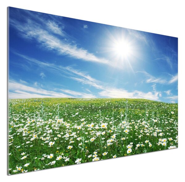 Skleněný panel do kuchyně Louka pksh-6089070