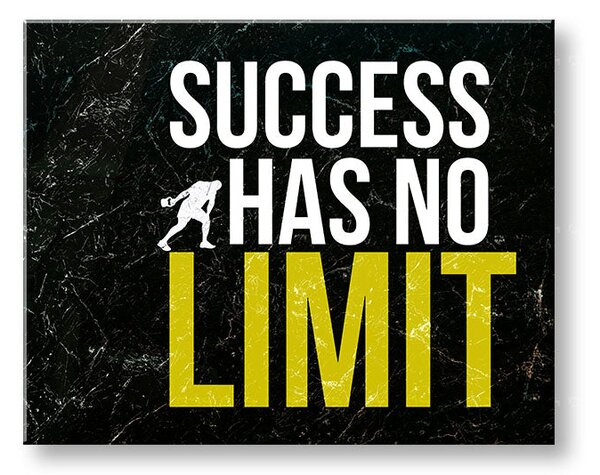 Motivační obraz na stěnu o úspěchu_009 - 20x30 cm
