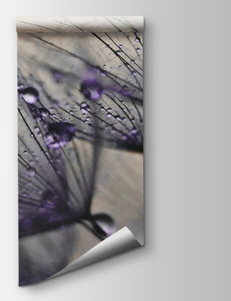 Fototapeta Jemné kapičky na křehkých okvětních lístcích, 3D fototapety, Populární fototapety, u57557v3 - Tapeko.co.cz