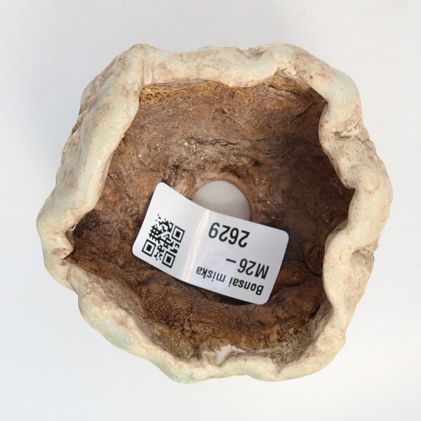 E-bonsai Keramická Skořápka 8 x 7 x 5,5 cm zelená
