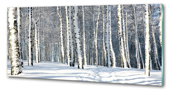Skleněný panel do kuchynské linky Les zima pksh-61171749