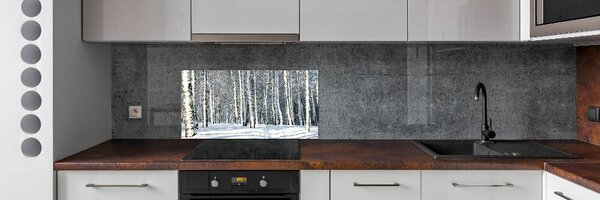 Skleněný panel do kuchynské linky Les zima pksh-61171749