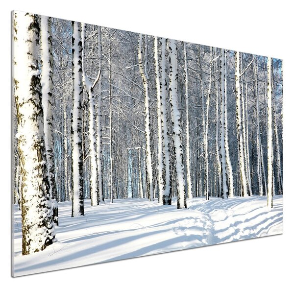 Skleněný panel do kuchynské linky Les zima pksh-61171749