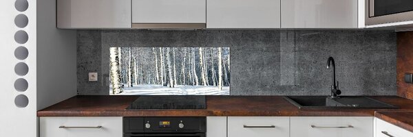 Skleněný panel do kuchynské linky Les zima pksh-61171749