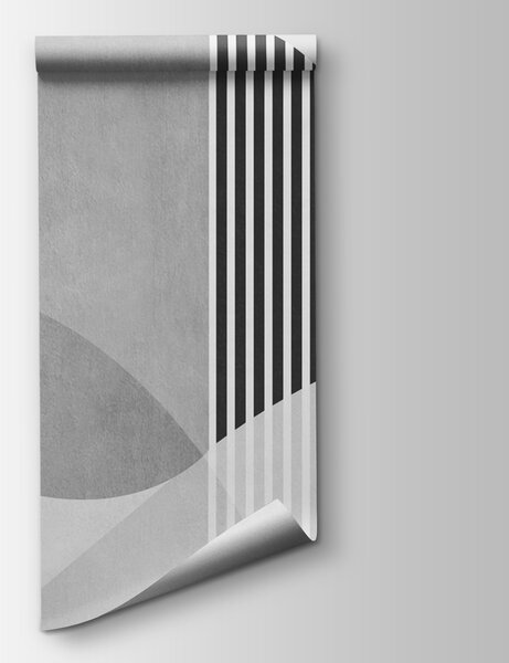 Fototapeta Šedé a bílé pozadí s černými čarami a kruhy, Abstraktní fototapety, Populární fototapety, u74075v2 - Tapeko.co.cz