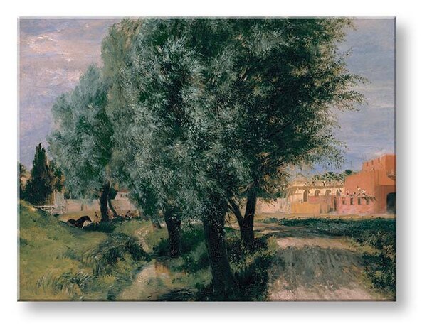 Reprodukce obrazu na plátně - Leonardo da Vinci REP280 - Staveniště s vrby - 40x50 cm