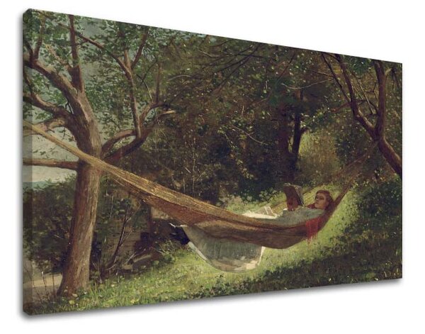 Obraz na plátně Winslow Homer - Dívka v houpací síti - Dívka v houpací síti - 40x60 cm