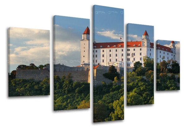 Obraz na stěnu 5 dílů SLOVENSKO - 100x80 cm